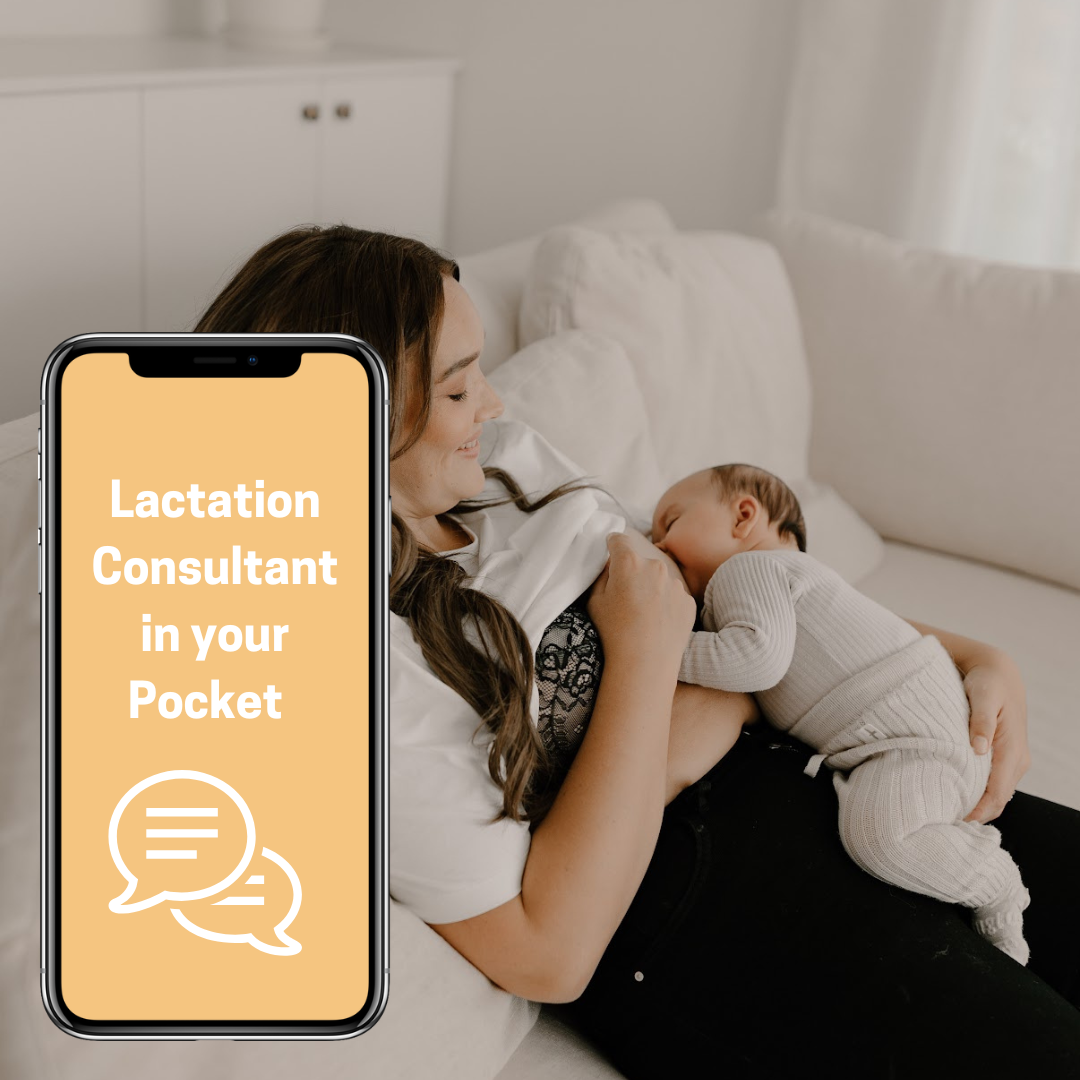 Lactation Consultant in your Pocket